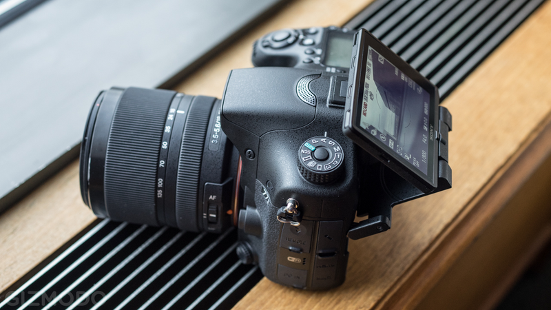 Illustration for article titled Sony A77 Mark II: The Mid-Range DSLR Gets a Turbo-Charged Upgrade